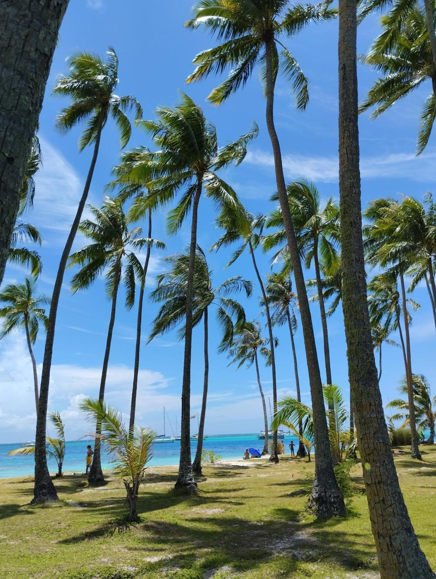 Tema'E Beach House Temae Zewnętrze zdjęcie