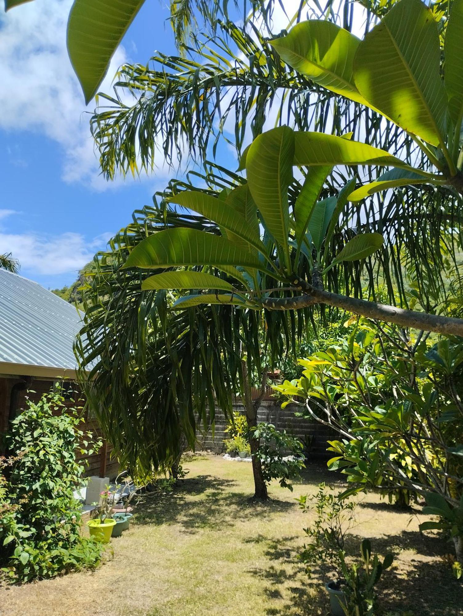 Tema'E Beach House Temae Zewnętrze zdjęcie